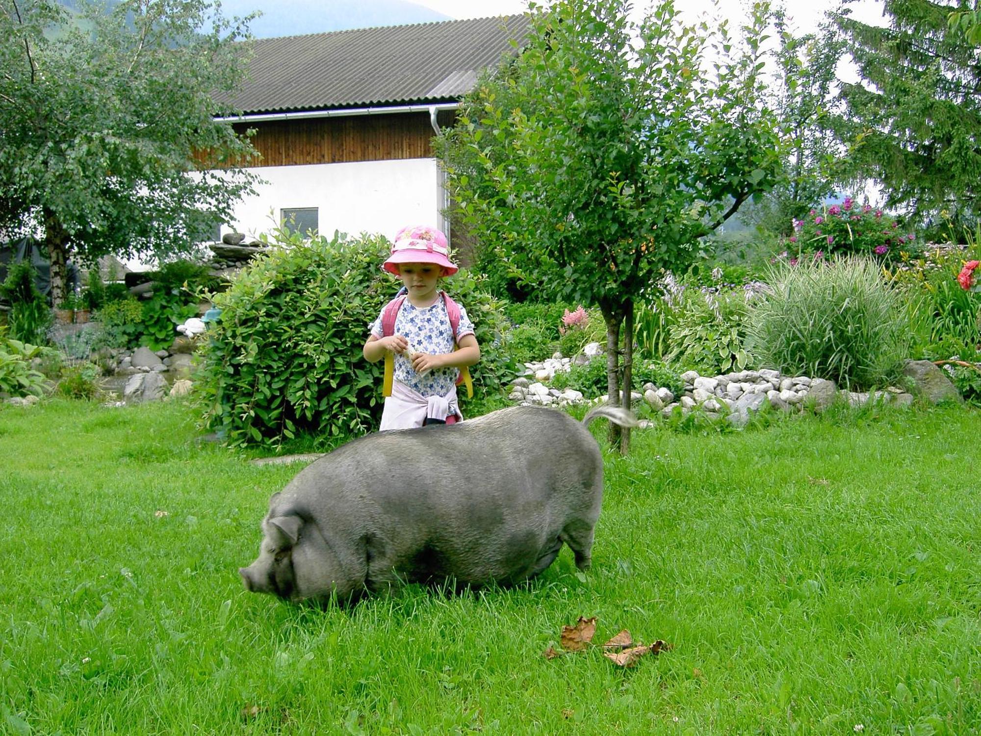 Moosbauerhof Bad Kleinkirchheim