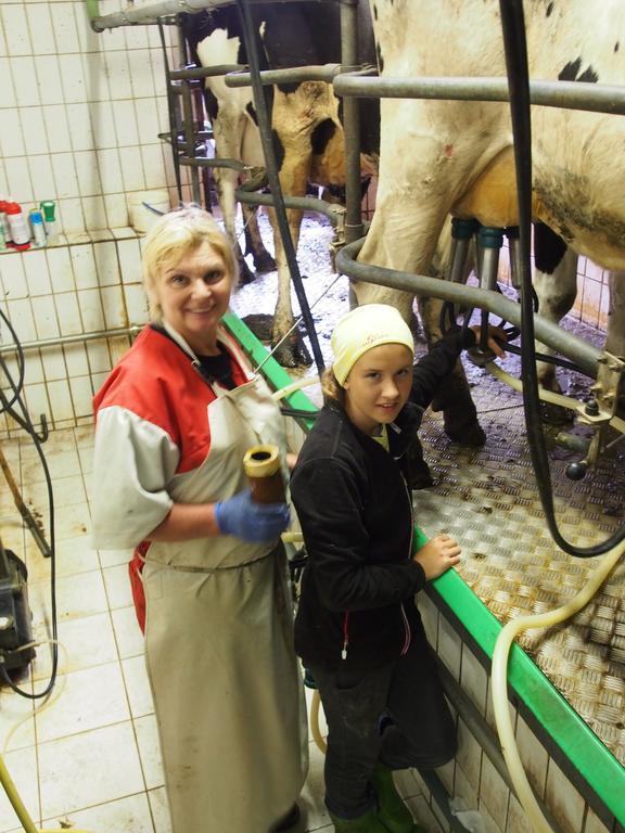 Moosbauerhof Appartamento