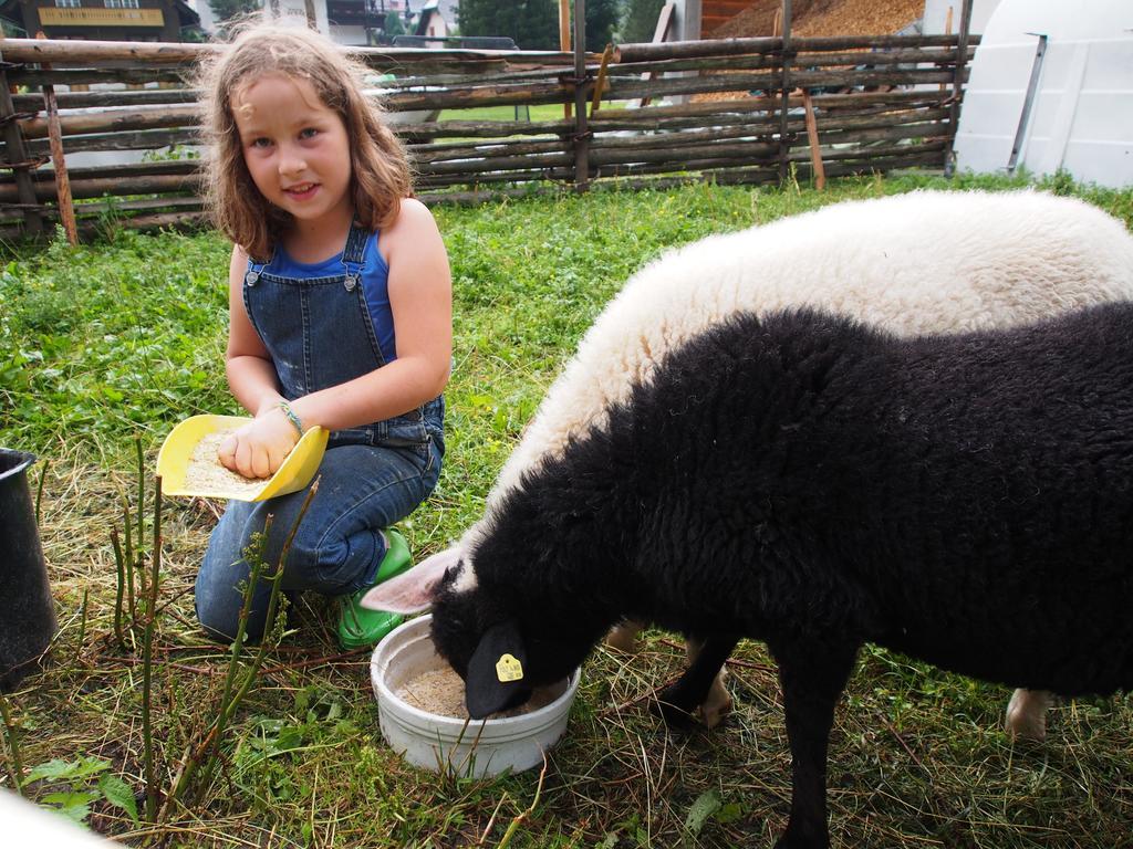 Moosbauerhof * Bad Kleinkirchheim