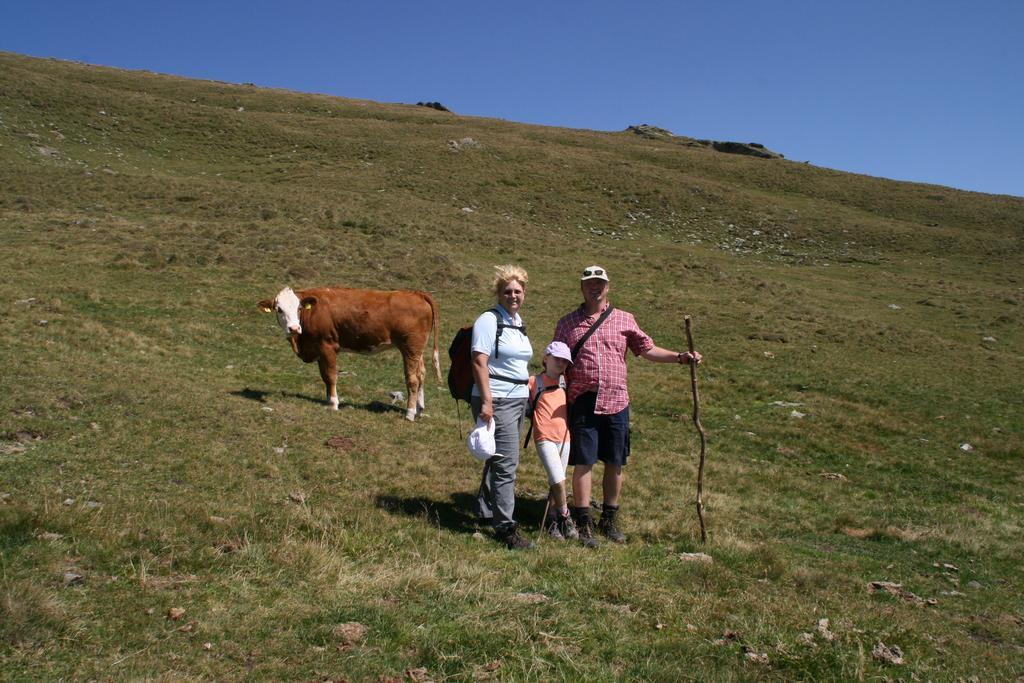 Moosbauerhof Appartamento Bad Kleinkirchheim