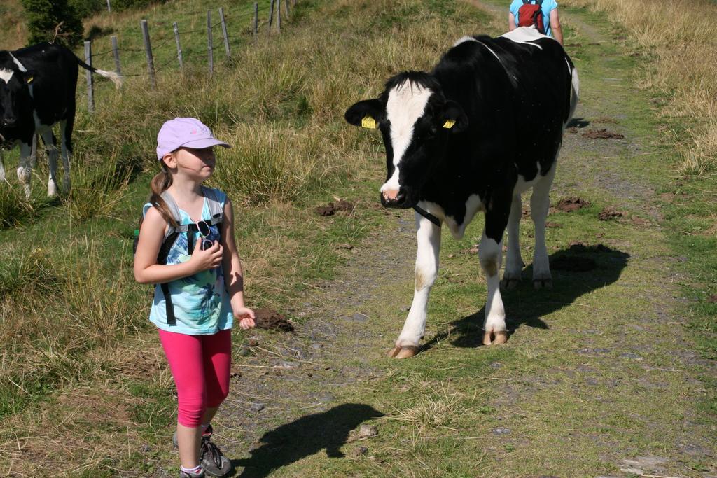 Moosbauerhof